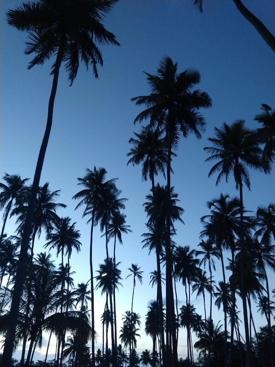 Hotel D'Anatureza Maceio  Luaran gambar